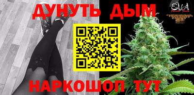 сатива Кандалакша