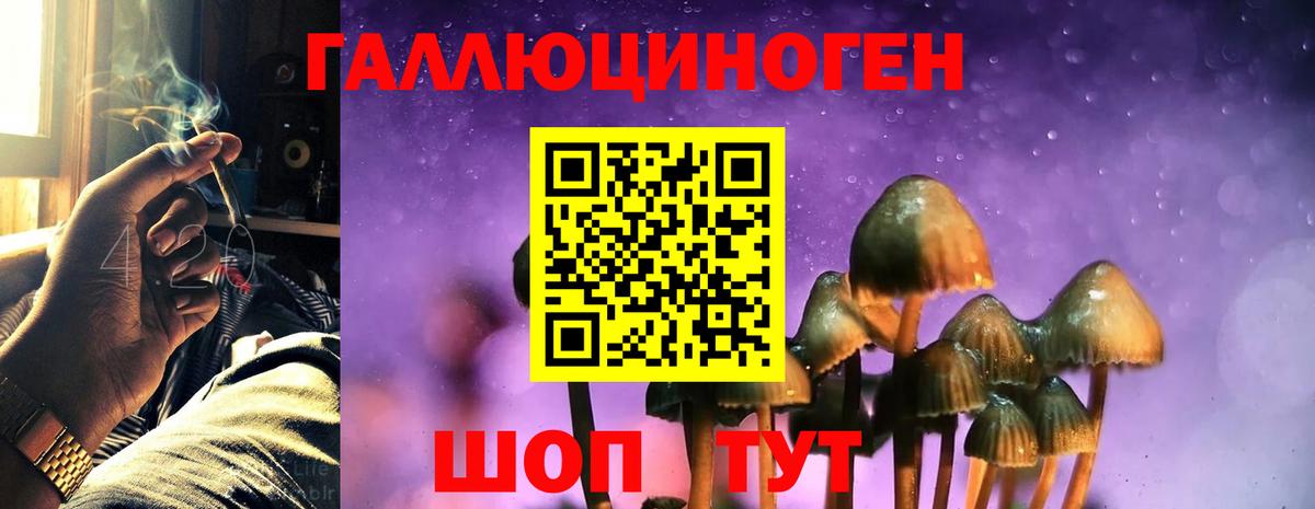 Псилоцибиновые грибы GOLDEN TEACHER Лангепас